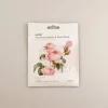 Premium Botanica Facial Mask - Smoothing